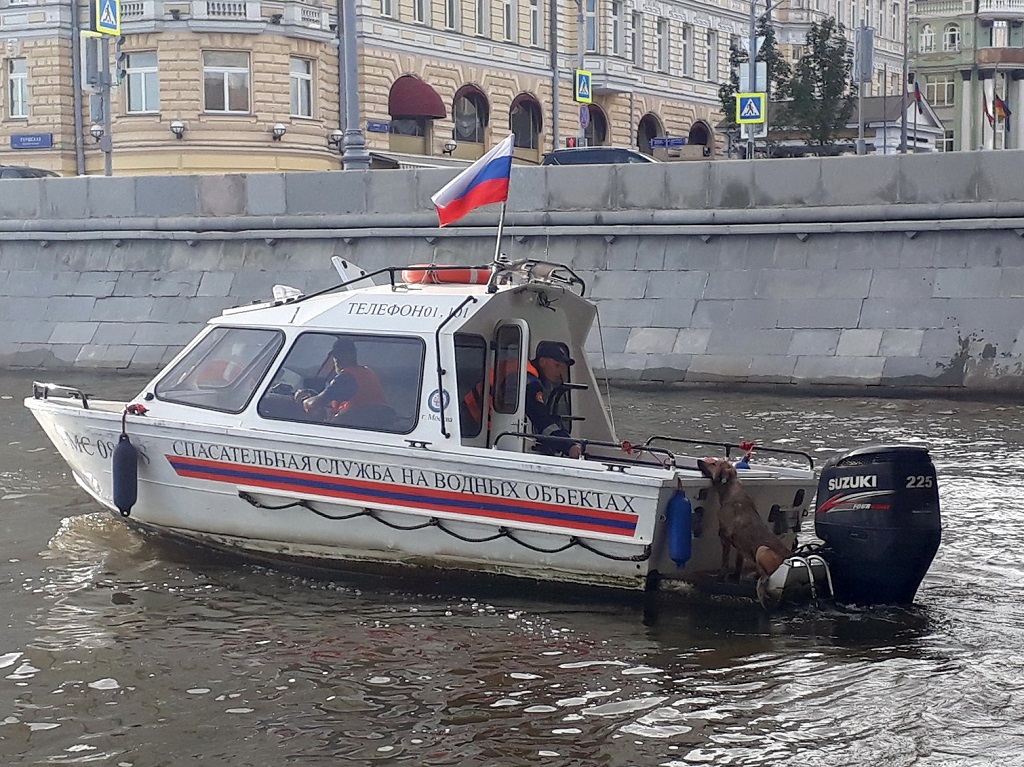 Московские спасатели выезжали более трехсот раз на помощь животным
