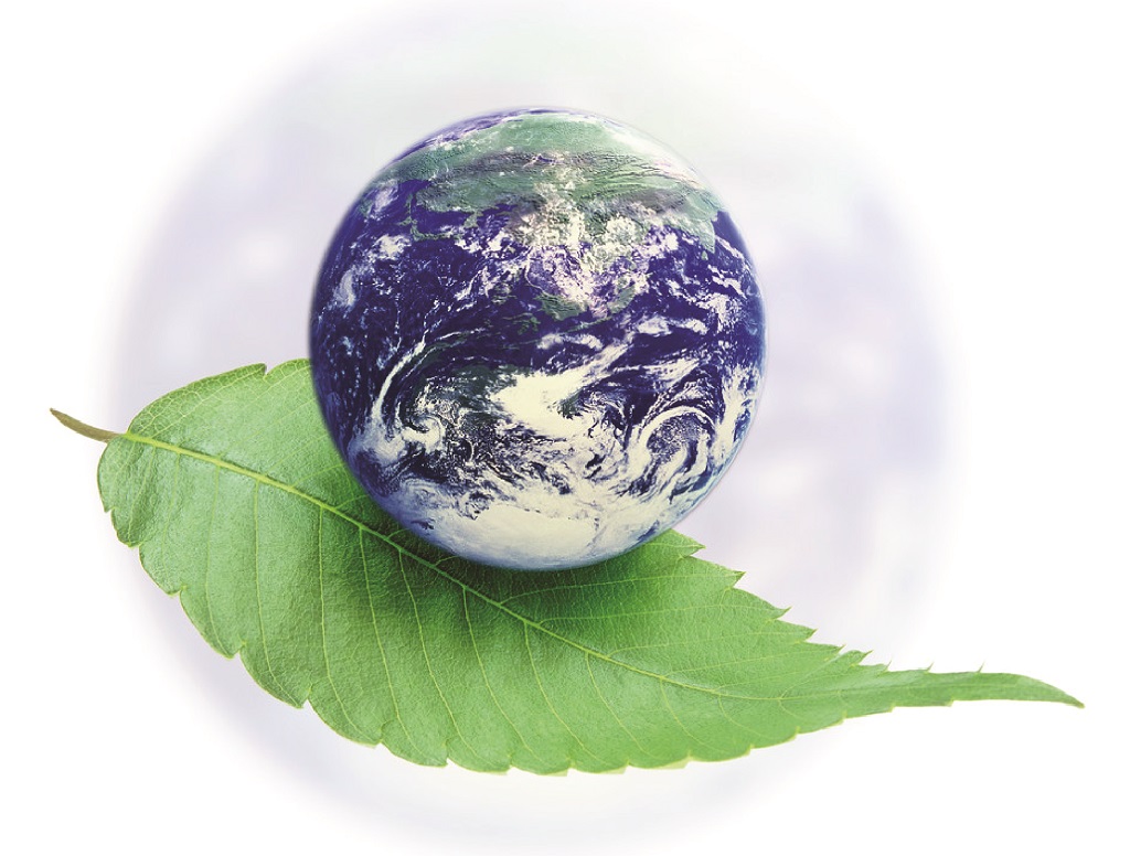 День эколога и Всемирный день окружающей среды (World Environment Day)