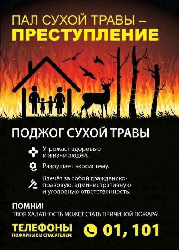 Статистика показывает, что ежегодно в России в результате травяных пожаров погибают несколько человек и сгорает огромное количество домов и дач