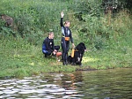 Как собаки помогают спасать людей на водоёмах столицы