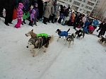 Снежные забавы в Южном Бутово