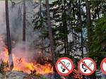 В Юго-Западном округе Москвы напомнили о правилах пожарной безопасности в лесу